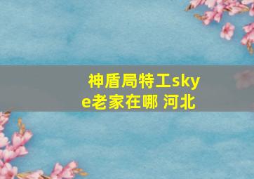 神盾局特工skye老家在哪 河北